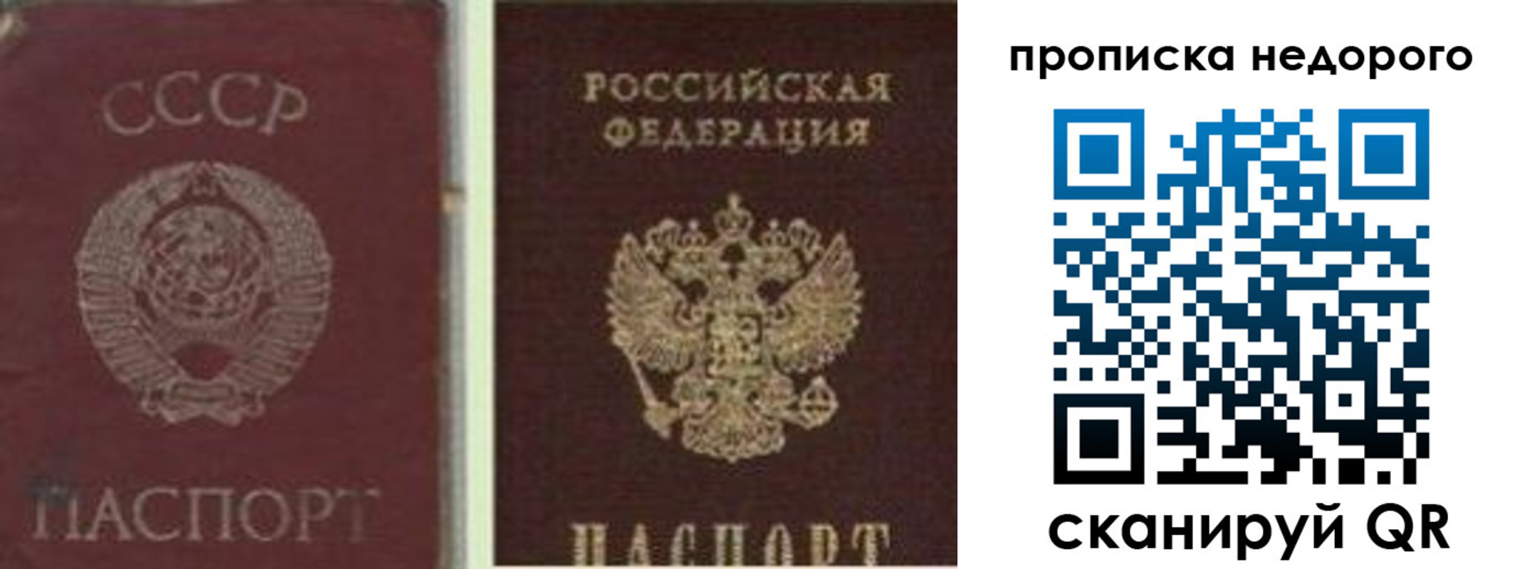 временная регистрация поиск в Советске